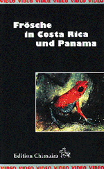 Frsche im Costarica und Panama