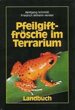 Pfeilgiftfrsche im Terrarium