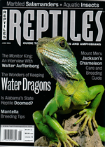 Reptiles Voume 12 n6