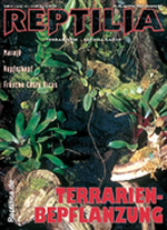 Reptilia n40