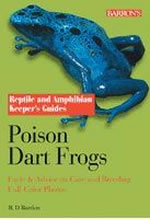 Poison Dart Frogs - Facts Advice on care and breeding